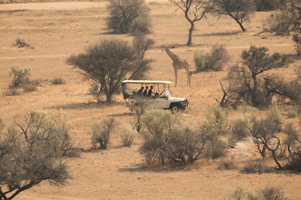 Masai mara game drives