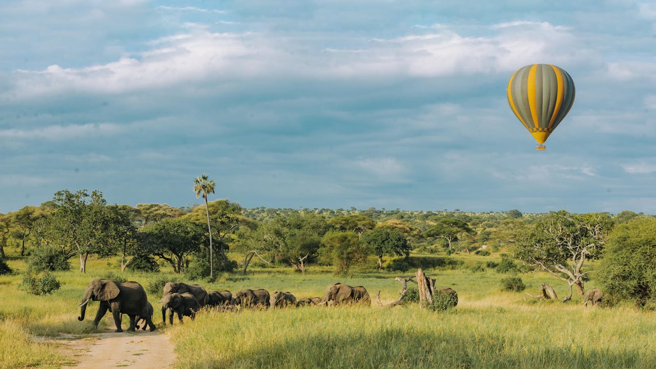 masai mara balloon safaris