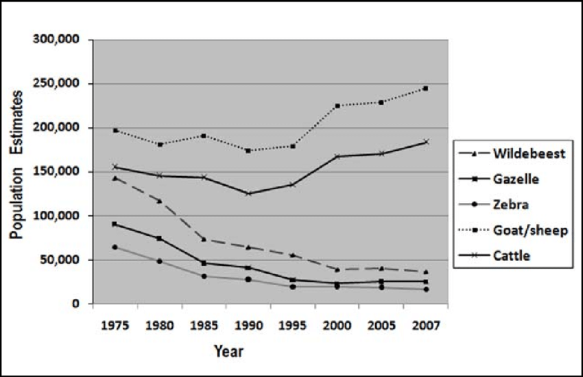 declining number of migrating herds in masai mara