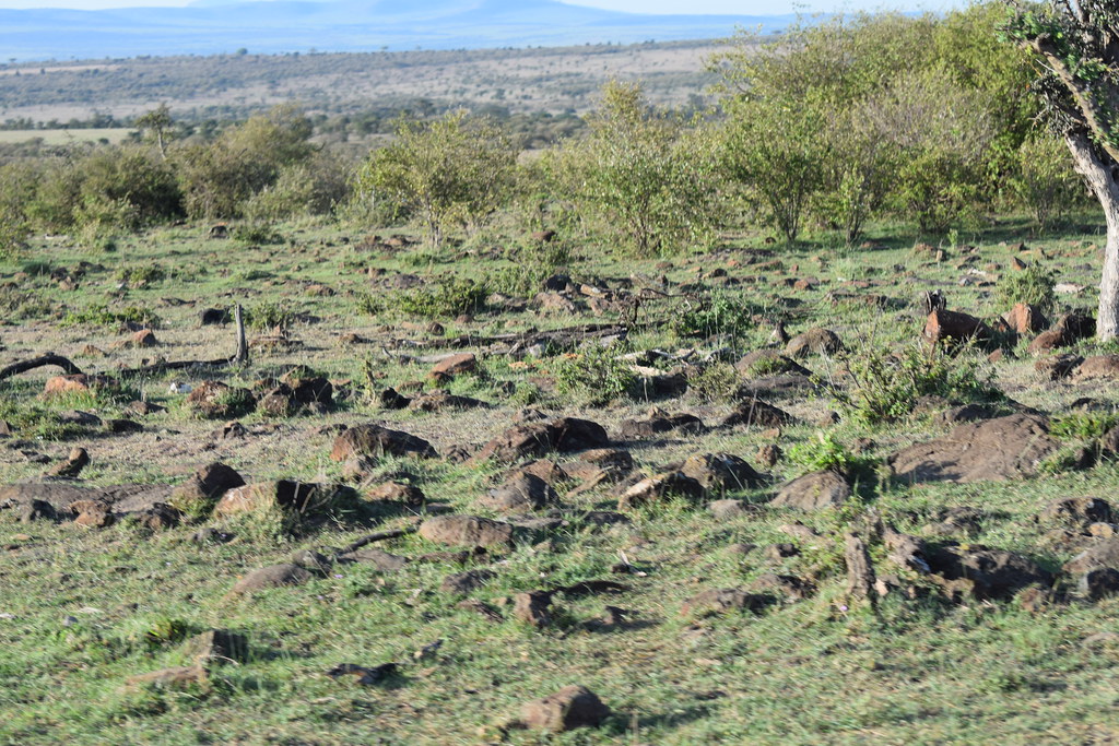 Precambrian rocks outcrops