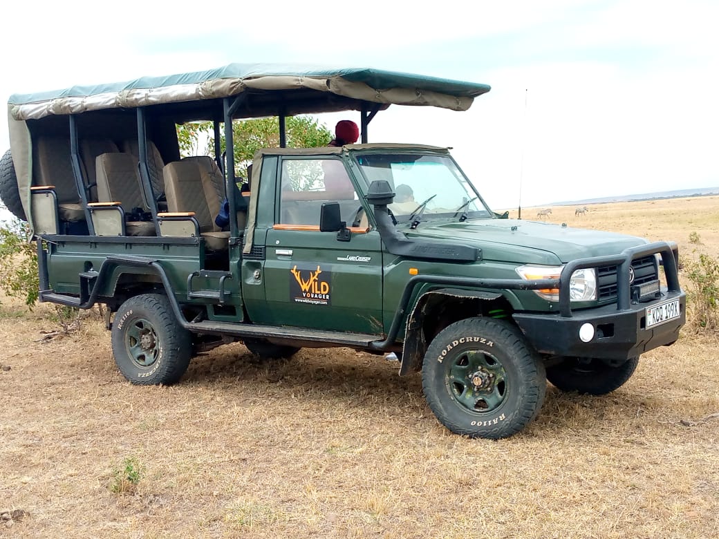 Masai Mara Game Drive Safari