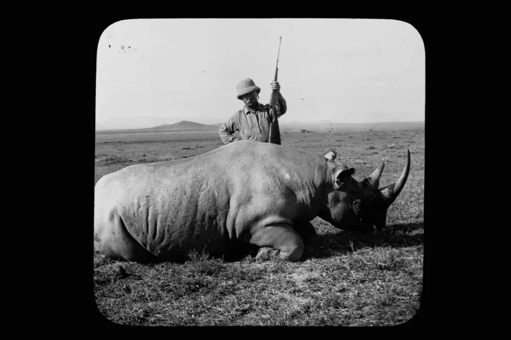 Former President Theodore Roosevelt stands over a rhino he has shot while on safari in Africa.