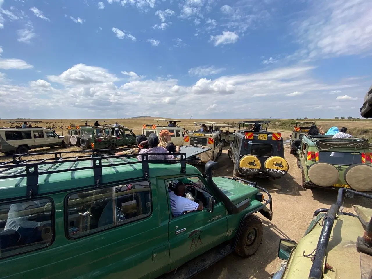 Overcrowding in masai maras