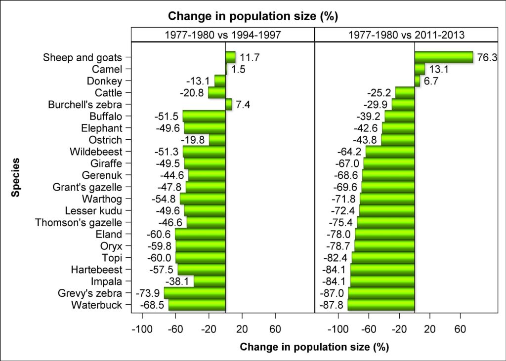 Chart showing decline in wildlife population in masai mara