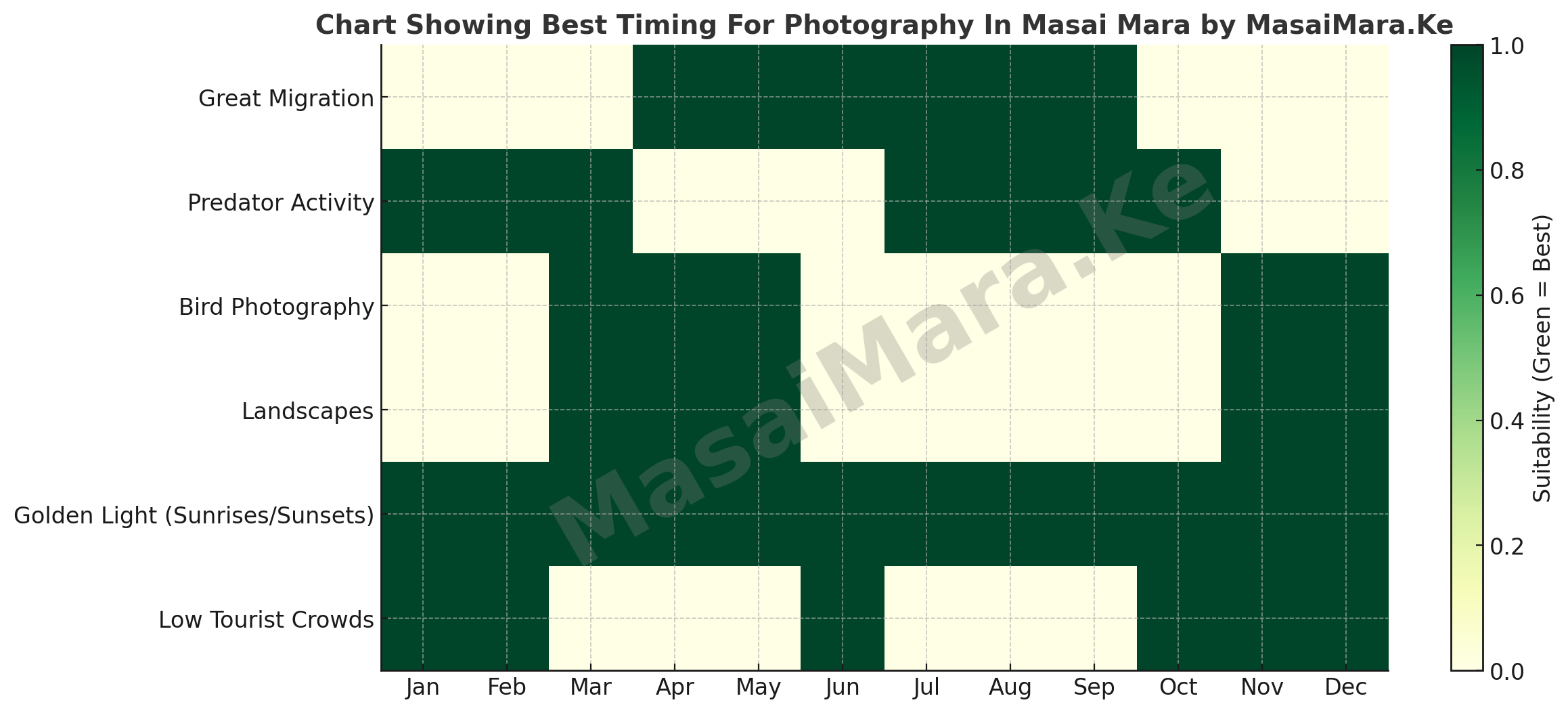 Chart Showing Best Timing For Photography In Masai Mara By MasaiMara.Ke


