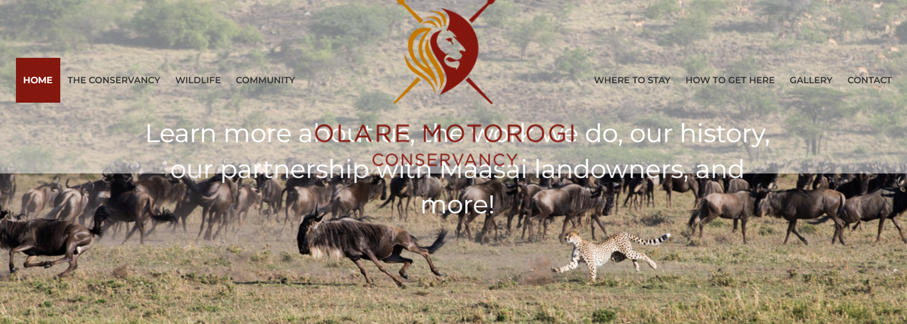 Olare Motorogi Conservancy website homapge snapshot